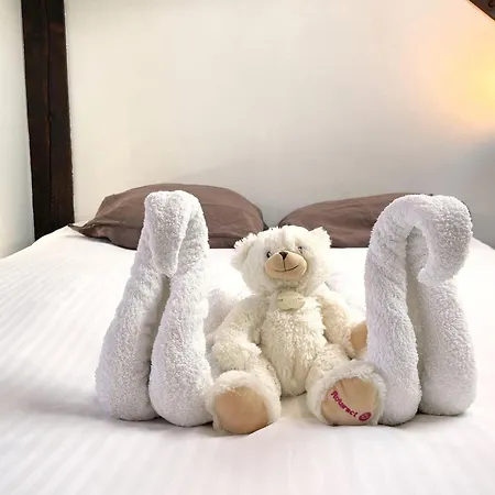 Апартаменты Le Duplex - Parking - Vue Clochers - Tennis Руан