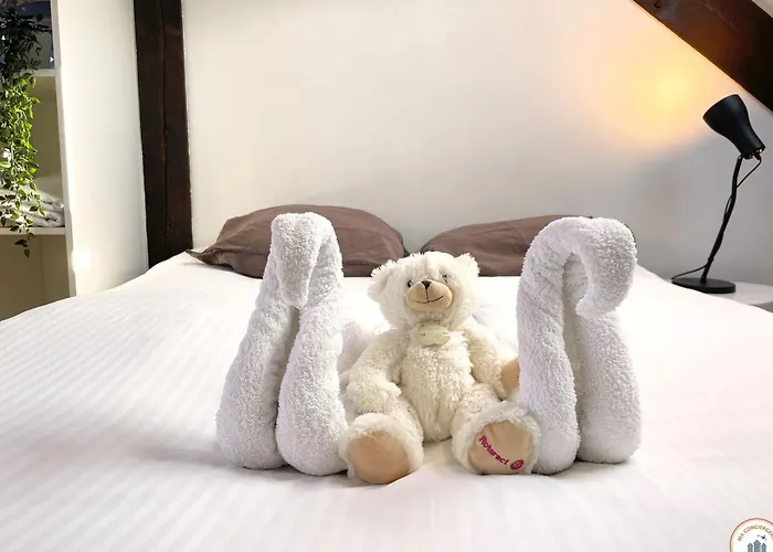 Διαμέρισμα Le Duplex - Parking - Vue Clochers - Tennis Ρουέν